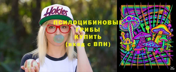 не бодяженный Алексин