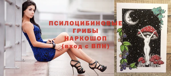 не бодяженный Алексин