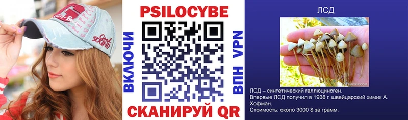 Псилоцибиновые грибы мицелий  Духовщина 